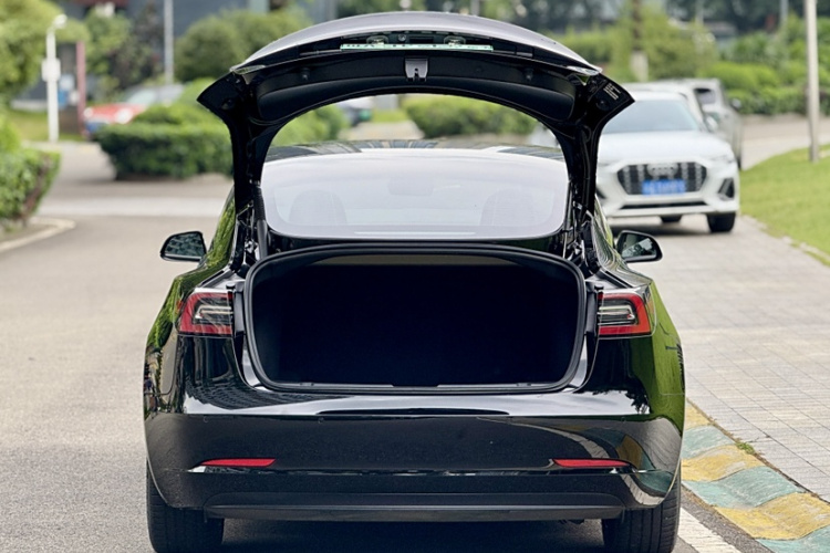 特斯拉 Model 3 2021款 标准续航后驱升级版 3D6局部细节23