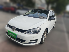 大众 高尔夫 2017款 230TSI 自动舒适百万辆纪念版