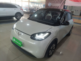 五菱汽车 五菱缤果 2023款 203km 舒享款