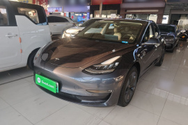 特斯拉 Model 3 2020款 改款 长续航后轮驱动版