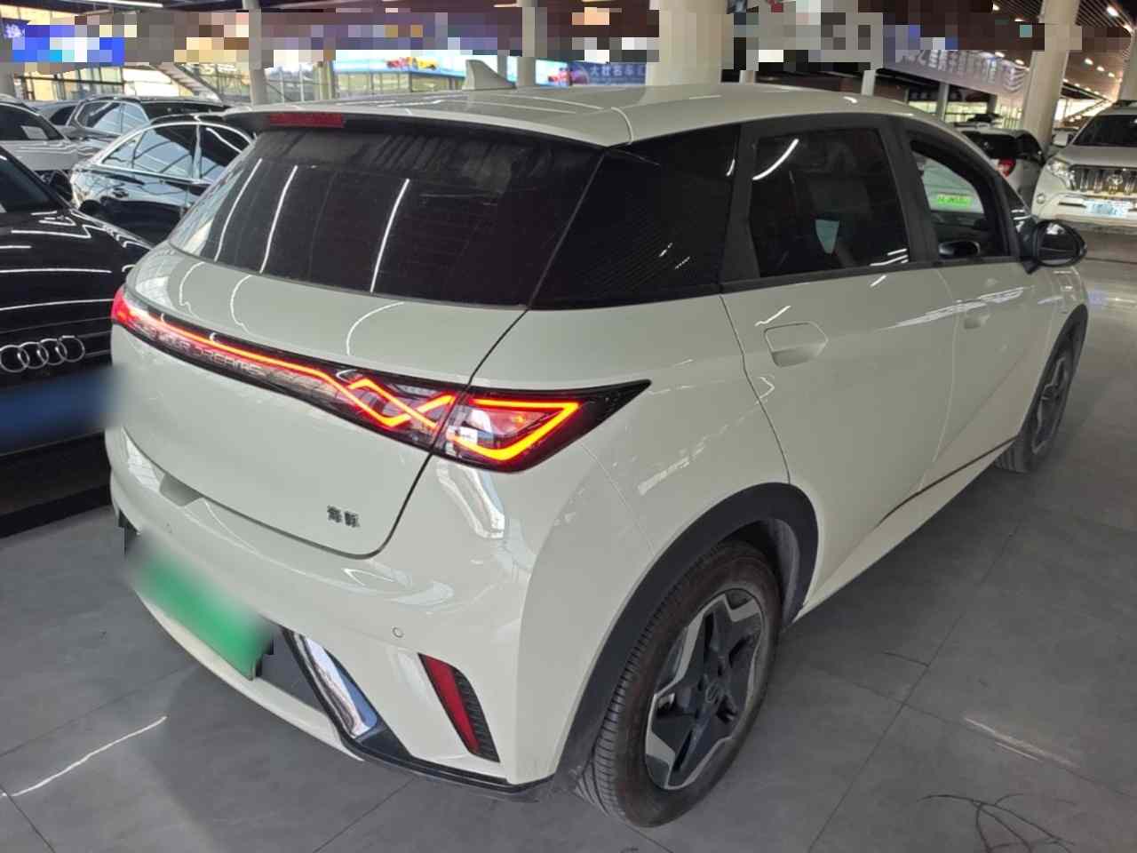 比亚迪 海豚 2025款 420km 活力版(5)