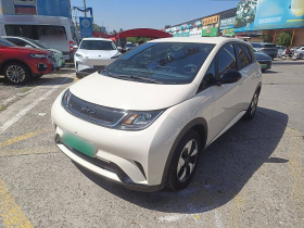 比亚迪 海豚 2024款 荣耀版 420km 自由版