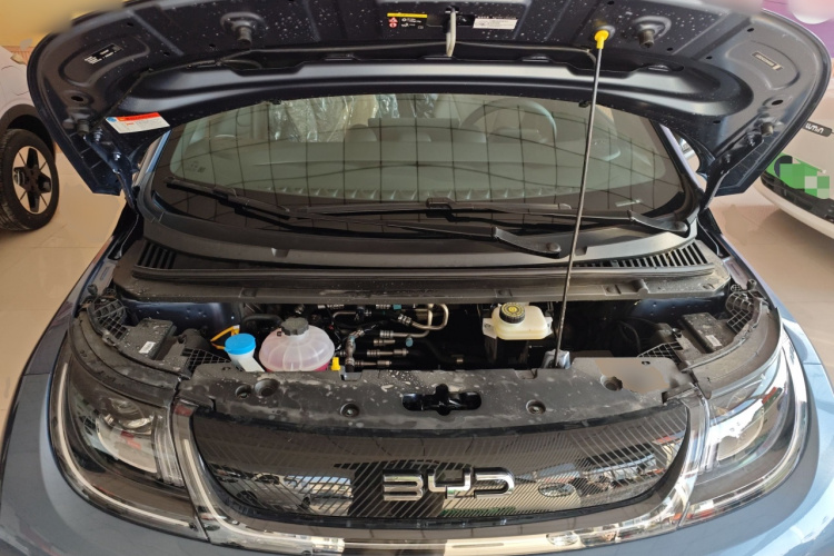 比亚迪 海豚 2025款 420km 自由版机舱底盘24