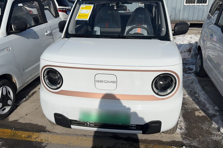 吉利银河 2024款 熊猫mini 200km 耐力熊车身外观6005