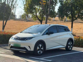 比亚迪 海豚 2025款 420km 时尚版