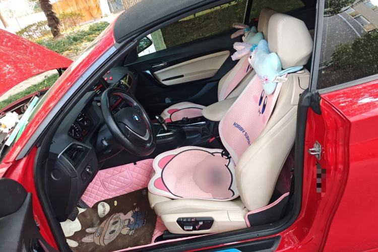 宝马2系(进口) 2019款 225i 敞篷轿跑车 运动设计套装中控内饰19