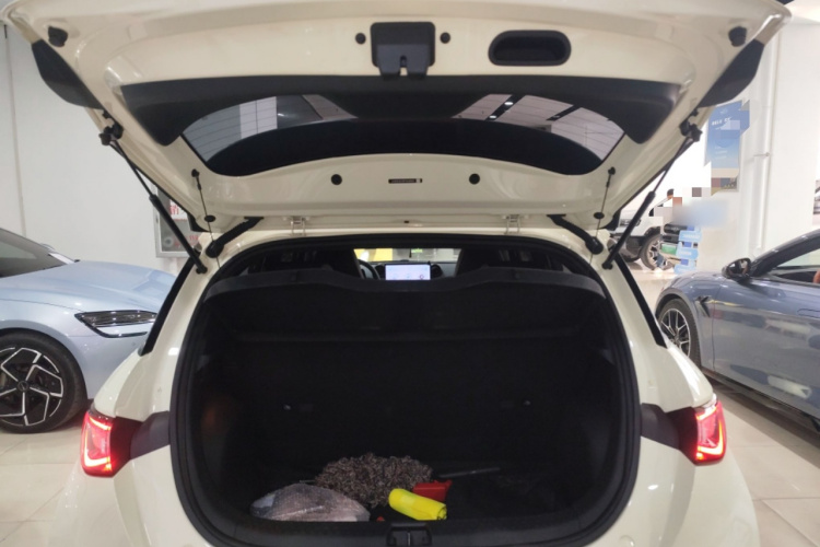 比亚迪 海豚 2023款 420km 自由版机舱底盘23