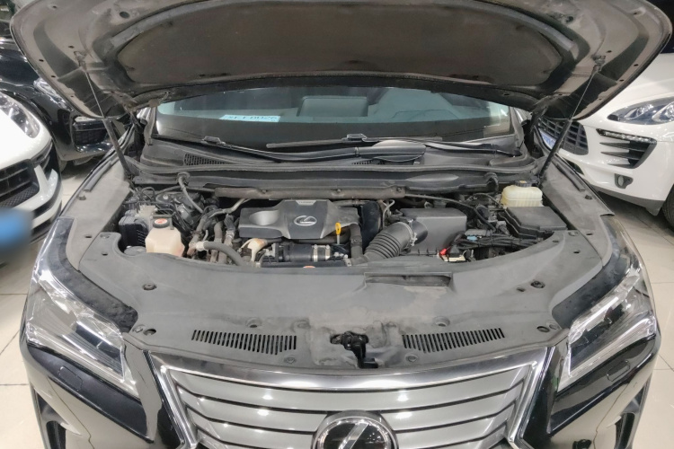 雷克萨斯RX 2020款 300 四驱典雅版 国VI机舱底盘24