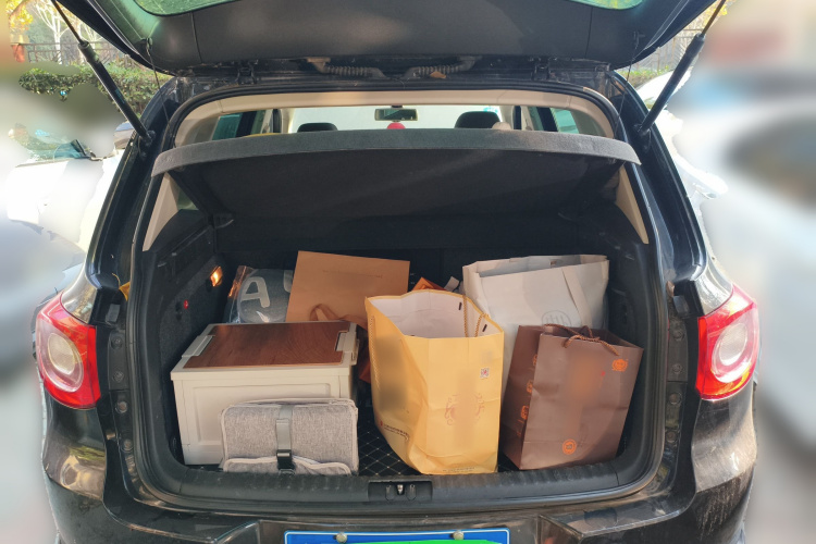 大众 途观 2010款 2.0TSI 自动四驱旗舰版局部细节23