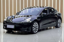特斯拉 Model 3 2019款 标准续航后驱升级版