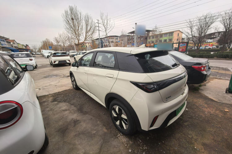 比亚迪 海豚 2025款 420km 自由版车身外观6003