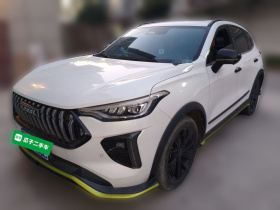 哈弗赤兔 2021款 激擎版 1.5T 黄金兔