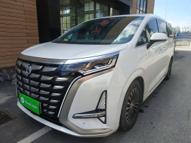 腾势D9 2022款 DM-i 1040 尊贵型