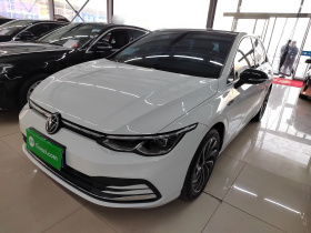 大众 高尔夫 2023款 280TSI DSG Pro