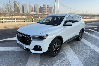 哈弗H6 2023款 国潮版 1.5T 自动都市版