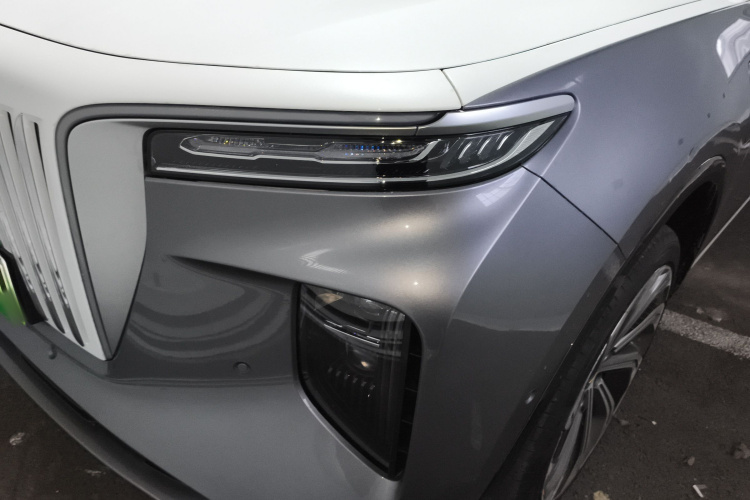 红旗E-HS9 2021款 510km 旗领版 四座局部细节36