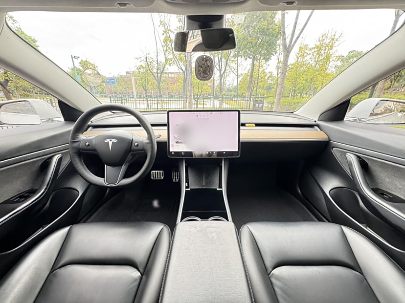 特斯拉 Model 3 2019款 标准续航后驱升级版