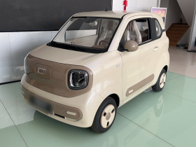 奔腾小马 2026款 222km 炫彩马