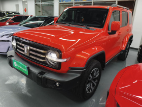 坦克300 2024款 2.0T 穿越者