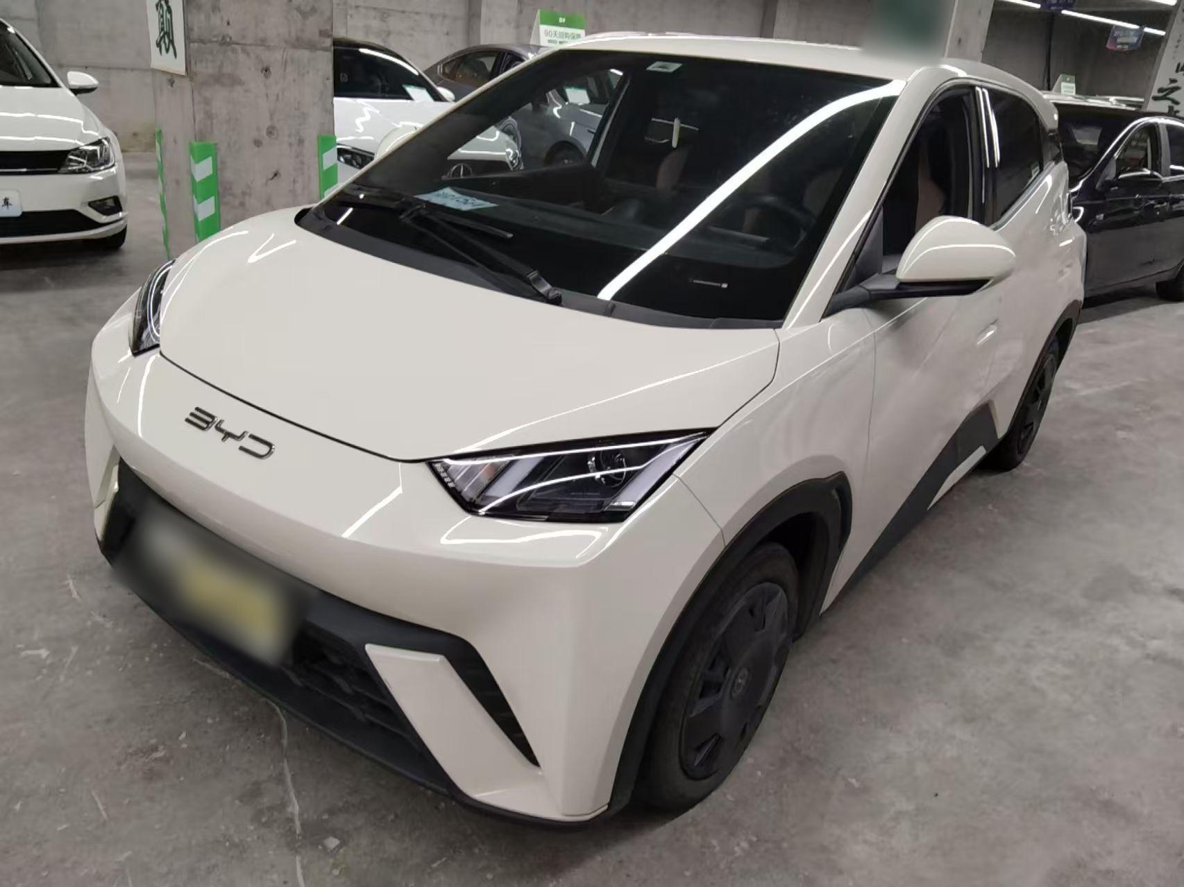 比亚迪 海鸥 2023款 活力版