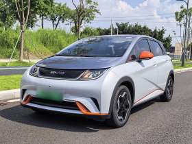 比亚迪 海豚 2021款 405km 时尚版