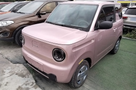 吉利汽车 2023款 熊猫mini 200km 耐力熊