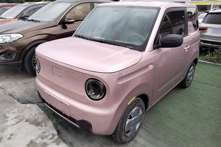 吉利汽车 2023款 熊猫mini 200km 耐力熊车身外观1