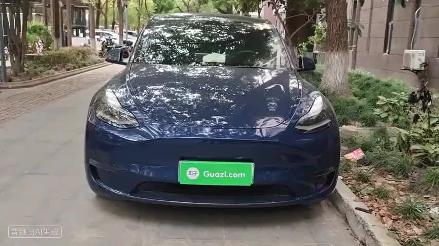 特斯拉 Model Y 2021款 Performance高性能全轮驱动版检测视频1