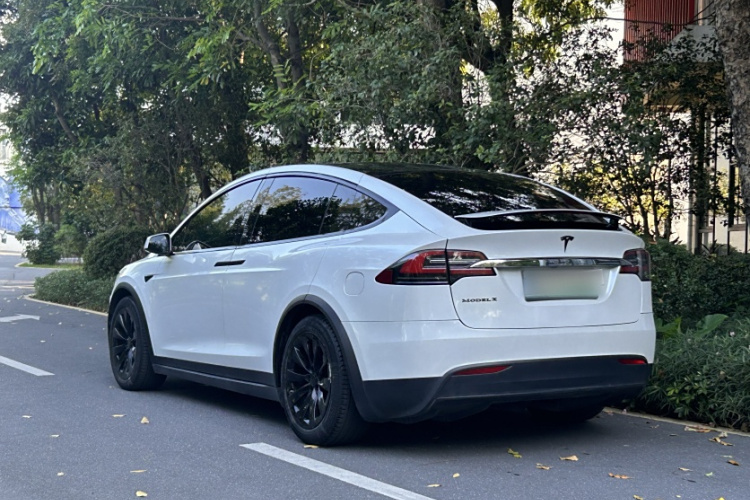 特斯拉 Model X 2019款 长续航版车身外观6005