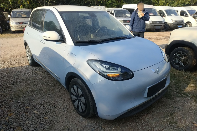 五菱汽车 五菱缤果 2023款 410km 灵犀尊享款车身外观3