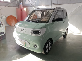 五菱汽车 宏光MINIEV 2024款 第三代 215km 进阶版