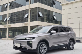 睿蓝汽车 睿蓝9 2023款 470km 引领版