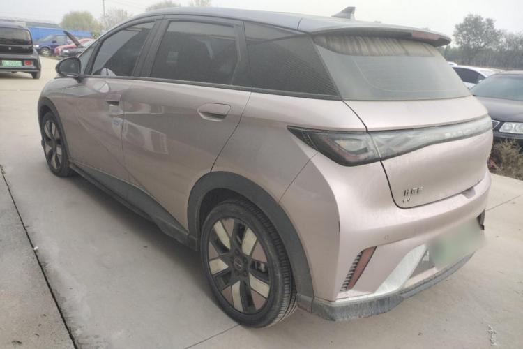 比亚迪 海豚 2021款 401km 骑士版车身外观6005