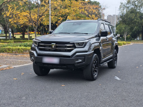 坦克400 2025款 2.0T 汽油版