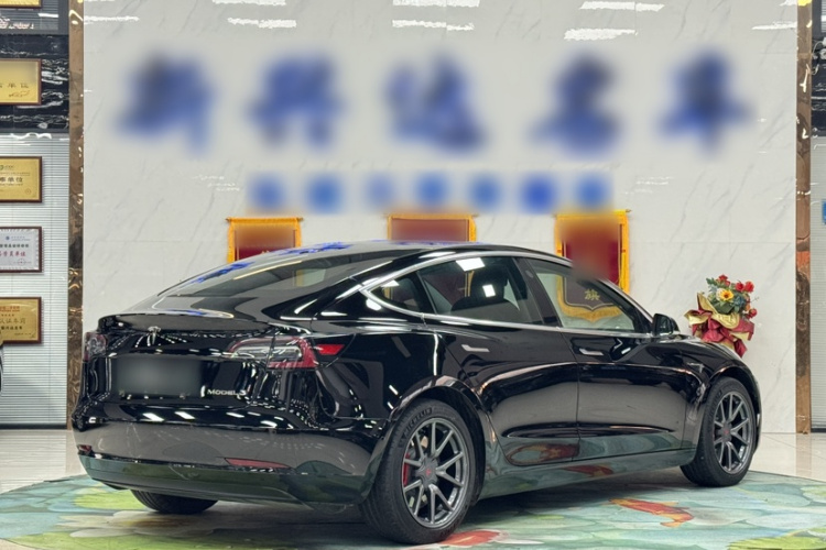 特斯拉 Model 3 2020款 长续航后轮驱动版车身外观6003