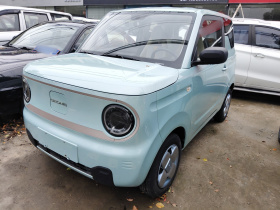 吉利银河 2023款 熊猫mini 120km 超萌熊