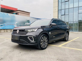 大众 揽巡 2024款  330TSI 豪华巡逸 众享款