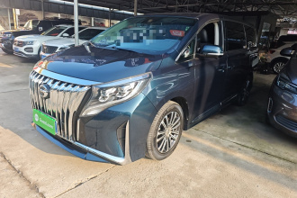 广汽传祺 传祺M8 2021款 领秀系列 390T 至尊版