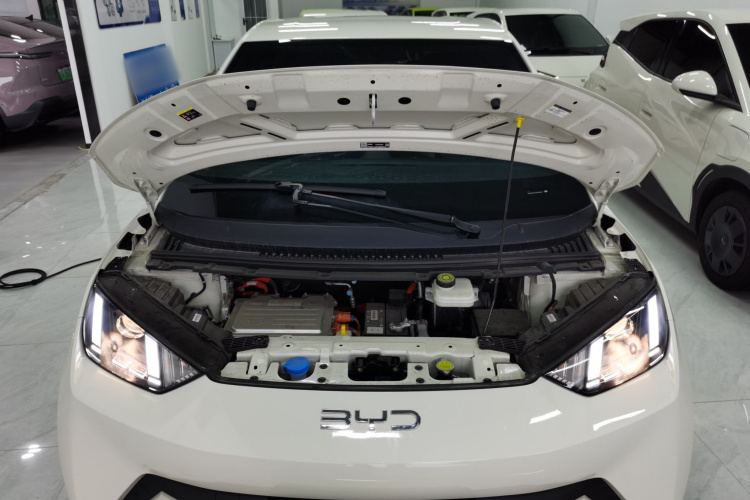 比亚迪 海鸥 2025款 305km 活力版机舱底盘24