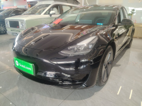 特斯拉 Model 3 2021款 标准续航后驱升级版 3D6