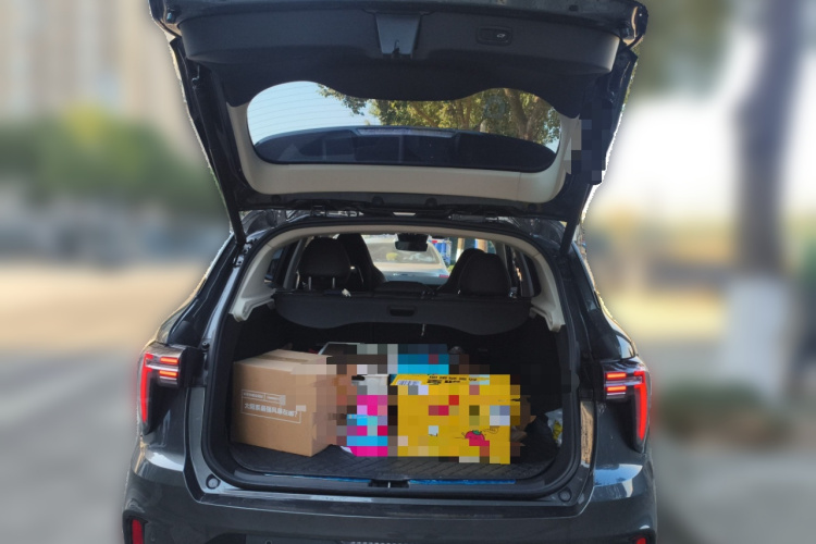 领克01 2023款 2.0TD 两驱亚运版中控内饰23