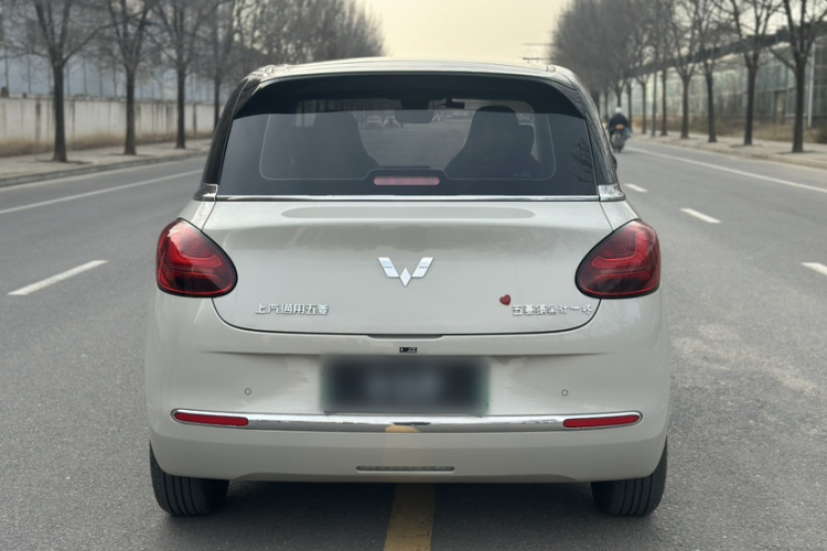 五菱汽车 五菱缤果 2023款 203km 轻享款车身外观6009