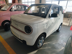 吉利银河 2024款 熊猫mini 200km 耐力熊