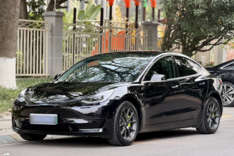 特斯拉 Model 3 2020款 标准续航后驱升级版