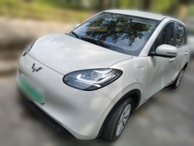 五菱汽车 五菱缤果 2025款 203km 轻享款