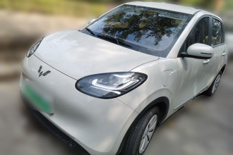 五菱汽车 五菱缤果 2025款 203km 轻享款