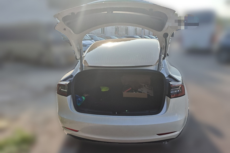 特斯拉 Model 3 2020款 标准续航后驱升级版局部细节23