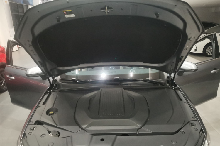 比亚迪 秦PLUS 2021款 EV 400KM 豪华型机舱底盘24