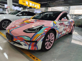 特斯拉 Model 3 2020款 改款 标准续航后驱升级版