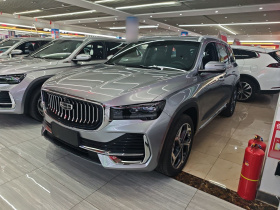 吉利汽车 星越L 2024款 2.0TD DCT EVO两驱长风版